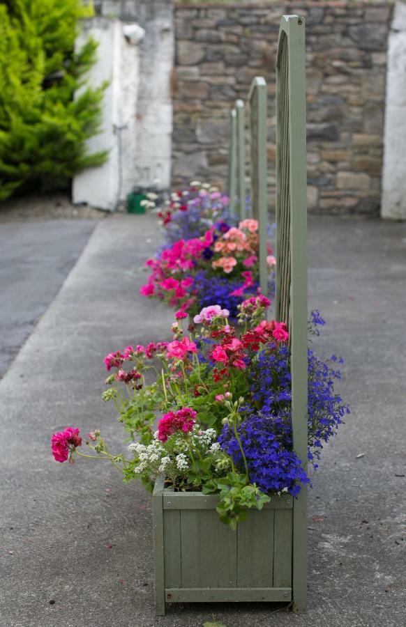 Cathedral View Apartments Longford Esterno foto